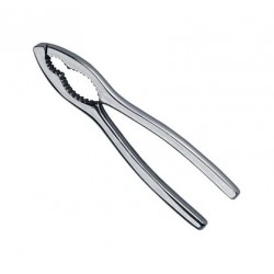 Schiaccianoci in acciaio Ghidini Italy Linea Daily 