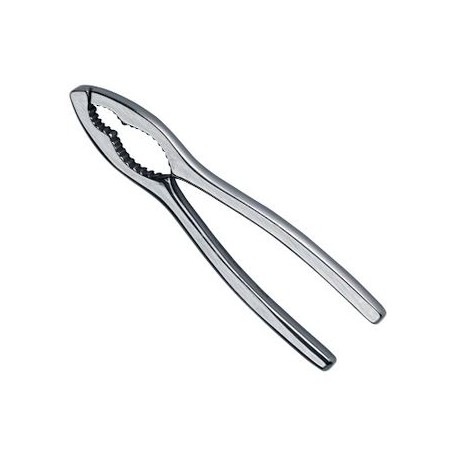 Schiaccianoci in acciaio Ghidini Italy Linea Daily 