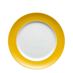 Piatti piani colorati...